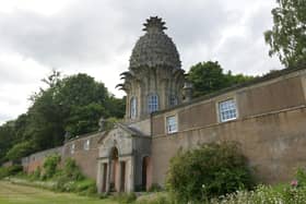 A pre-determination hearing on revised proposals to create a visitor centre, cafe and housing near the Dunmore Pineapple is to be held next week.(Picture: Michael Gillen, National World)