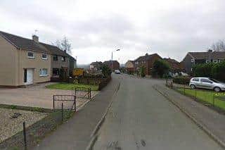 Tams assaulted his partner in Craighorn Road, Alva