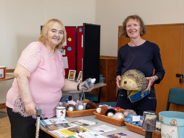 Burntisland Hedgehog Haven brought fun facts about our spiky garden friends to the event.