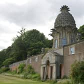The Dunmore Pineapple folly cared for by National Trust for Scotland. It was a summerhouse built for the 4th Earl of Dunmore. Picture Michael Gillen.