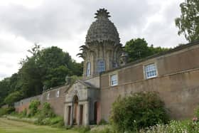 The Dunmore Pineapple folly cared for by National Trust for Scotland. It was a summerhouse built for the 4th Earl of Dunmore. Picture Michael Gillen.