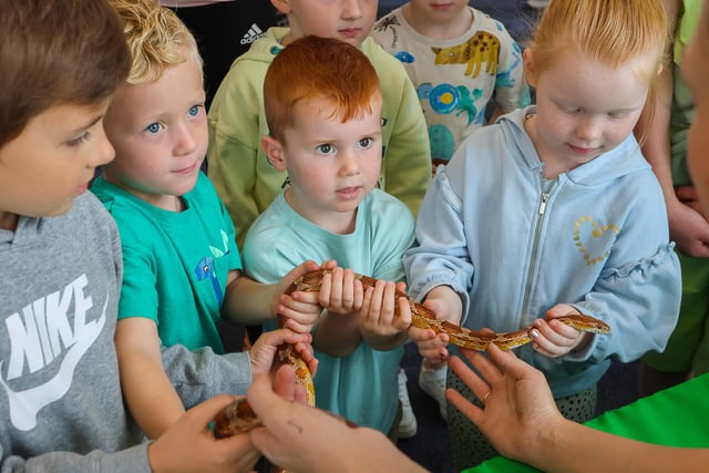 A new slithery friend for the youngsters.