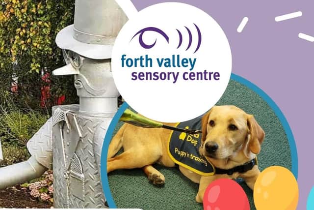 Guide dog puppies will be the big draw at the event (Picture: Submitted)