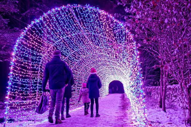 Beecraigs Forest Festival features the longest illuminated tunnel in the country.