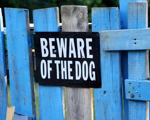 These are the 10 best breeds of dog to choose if you are looking for a pet that will protect your home and family.