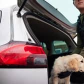 A new report has found that over 20,000 dogs have been stolen in the UK between 2014 and 2024.