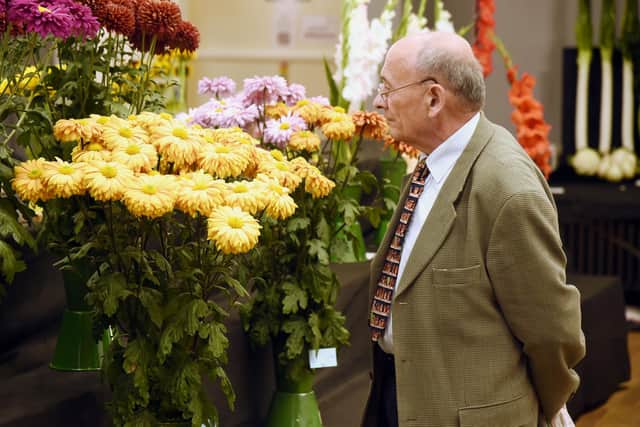 Admiring the entries.