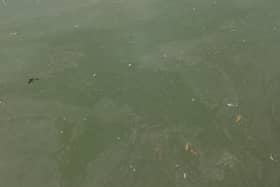 Blue green algae has been spotted in the loch. (Pic: Neil Barnes)