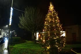 The Christmas tree brightens up the village.