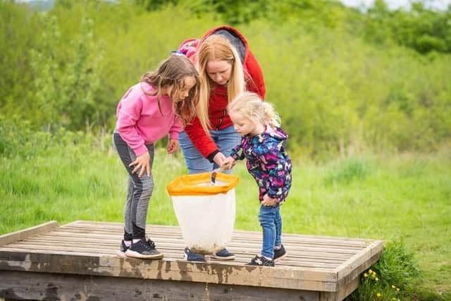 Pond dipping is among the activities taking place at the free Wild Science event at Muiravonside Country Park this weekend.  (Pic: Muiravonside Country Park)