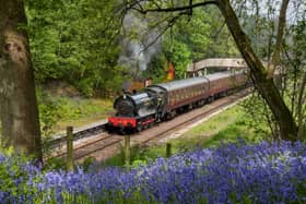 Get on board the Forth Valley Gin Train on June 15 and October 12.