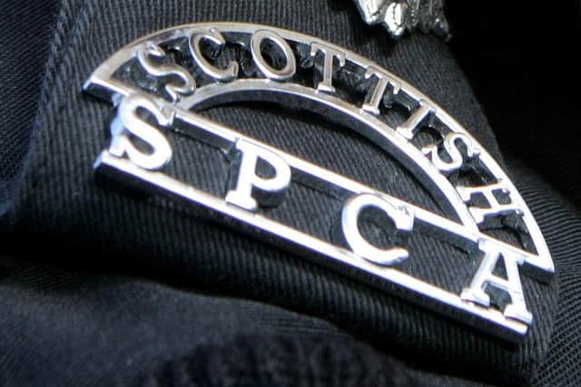 Scottish SPCA is looking for anyone with information about an incident in Brightons where a cat was shot with an airgun
