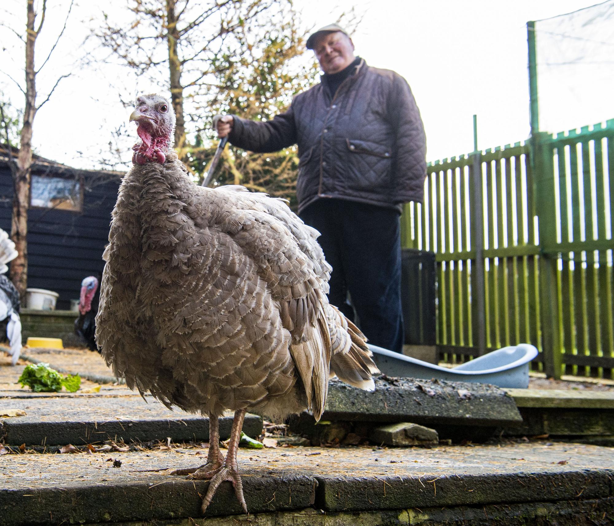 Watch: Meet the Scottish pensioner who walks some of the world’s rarest ...