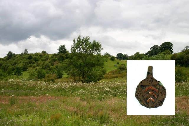 The Mumrill site with harness pendant inset.