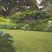 A neat garden