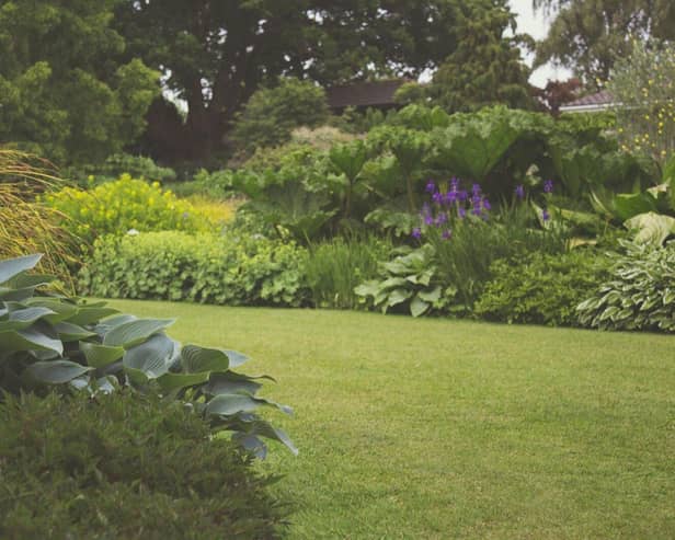 A neat garden