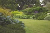A neat garden