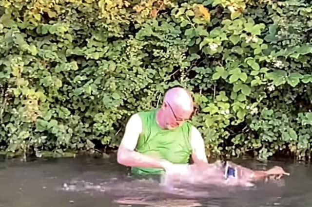 A still from the video showing Allan Horne rescuing the duck