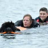 Kano, Paula Portsmouth and Ross McGillivray of the Scottish Newfoundland Club take a dip at the Helix for a water rescue demonstration
(Picture: Michael Gillen, National World)