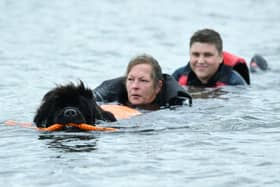 Kano, Paula Portsmouth and Ross McGillivray of the Scottish Newfoundland Club take a dip at the Helix for a water rescue demonstration
(Picture: Michael Gillen, National World)