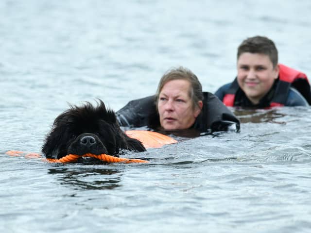 Kano, Paula Portsmouth and Ross McGillivray of the Scottish Newfoundland Club take a dip at the Helix for a water rescue demonstration
(Picture: Michael Gillen, National World)
