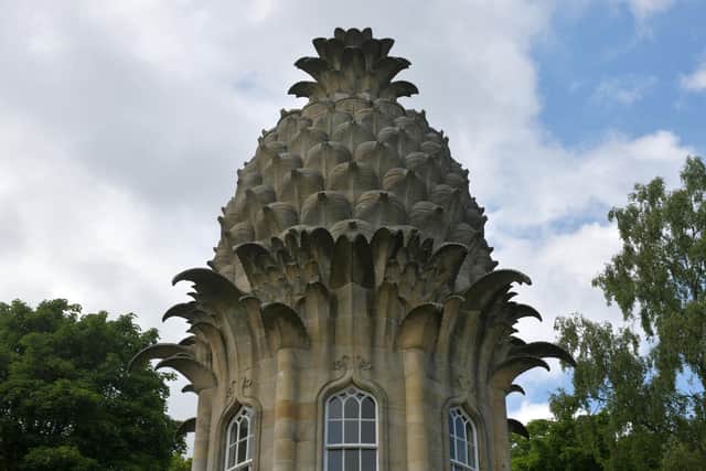 The Dunmore Pineapple folly cared for by National Trust for Scotland. (Pic: Michael Gillen)