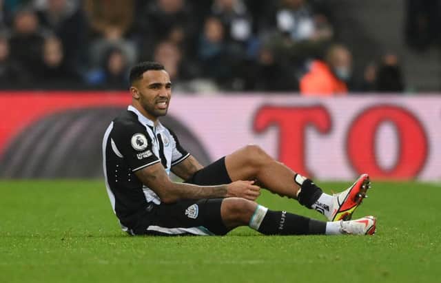Callum Wilson is Newcastle United's 'star player' this season - but how would they have coped without him? (Photo by Stu Forster/Getty Images)