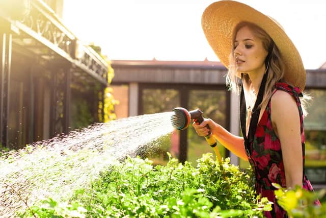 Garden hoses can be purchased at their lowest price over past 12 months just in time for summer gardening according to new research (photo: Adobe)
