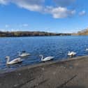 Linlithgow Loch meeting on Monday night.