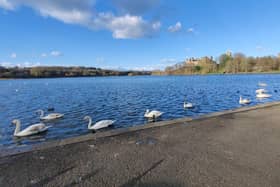 Linlithgow Loch meeting on Monday night.