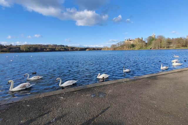 Linlithgow Loch meeting on Monday night.
