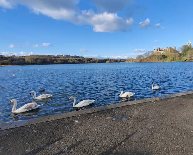 Linlithgow Loch meeting on Monday night.