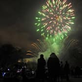Falkirk's main firework display is at Callendar Park on Tuesday, November 5 but there are other displays happening locally too.  (Pic: Michael Gillen)