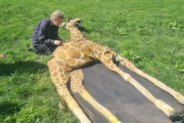 Abigail is sewn back together again by artist Megan Lyall after travelling to the zoo.  She is made from bedsheets and bubble wrap.