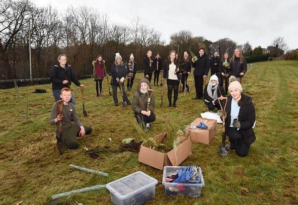 Larbert High pupils planting trees