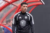 ’Shire player-boss Callum Tapping animated on the touchline last Saturday (Photo: Michael Gillen)