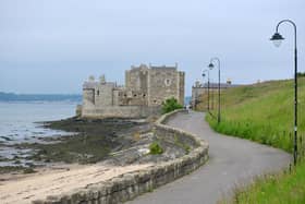 The walk will take participants from Carriden in Bo'ness to Blackness Castle(Picture: Michael Gillen, National World)