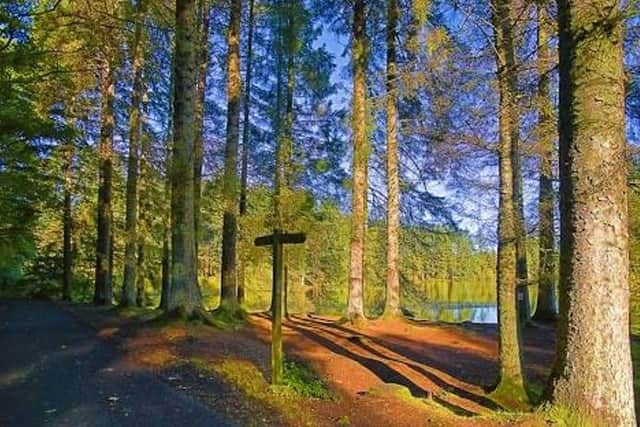 The latest high winds brought multiple trees down once again on managed woodland sites, including Beecraigs.