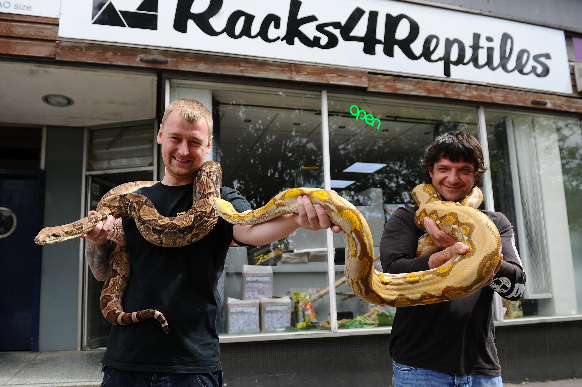 Snake pet store deals