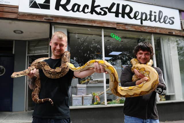 Racks 4 Reptiles owner George Struthers holds boa constrictor Freckles alongside Dougie Morton, reptile carer, with reticulated python Alan. Picture: Michael Gillen.