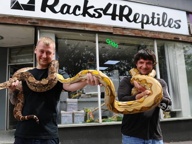 Racks 4 Reptiles owner George Struthers holds boa constrictor Freckles alongside Dougie Morton, reptile carer, with reticulated python Alan. Picture: Michael Gillen.