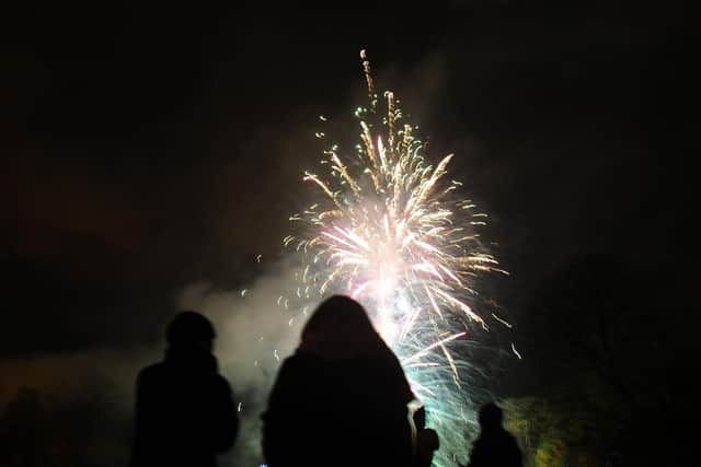 Scottish Fire and Rescue Service has warned people of the danger of fireworks after Falkirk's annual display was cancelled due to COVID-19