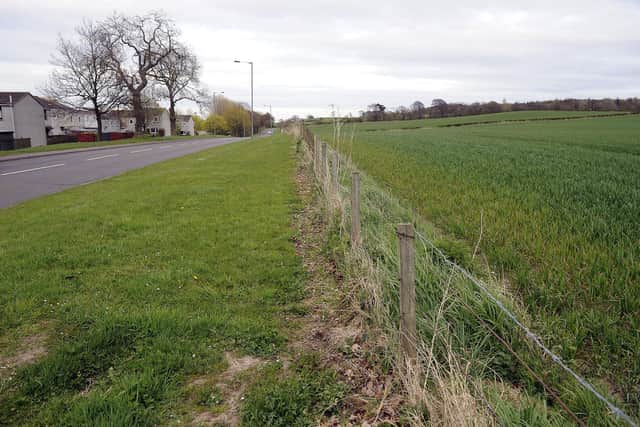 Green belt land at Crawfield Road in the fields stretching from the Fire Station to Kinneil Woods (Pic: Michael Gillen)