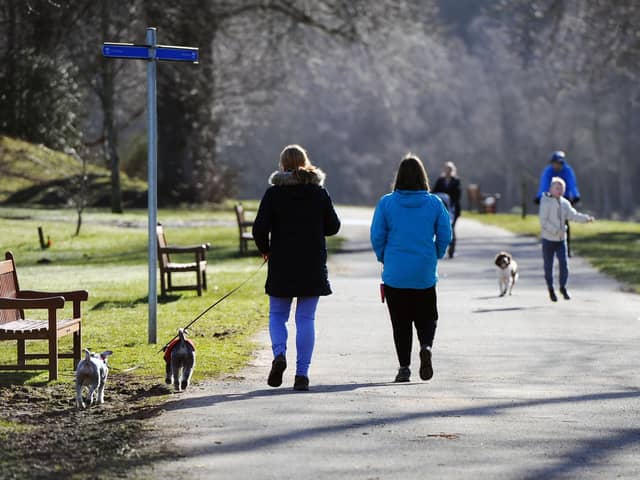 Callendar Park is popular with dog walkers and now you can help Scotland's animal welfare charity while striding out with your pooch