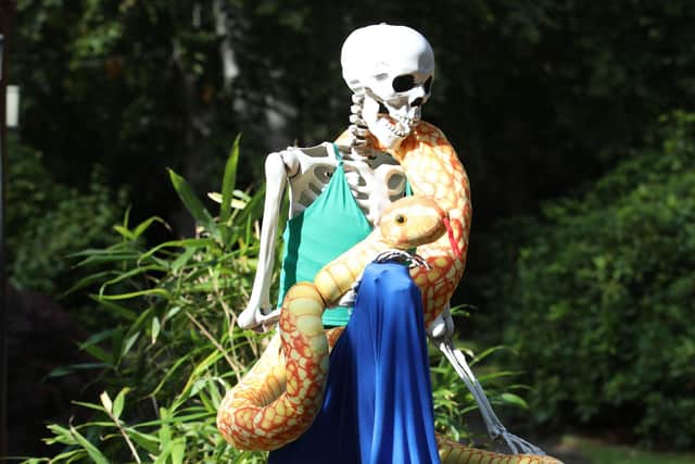 Skeleton with snake