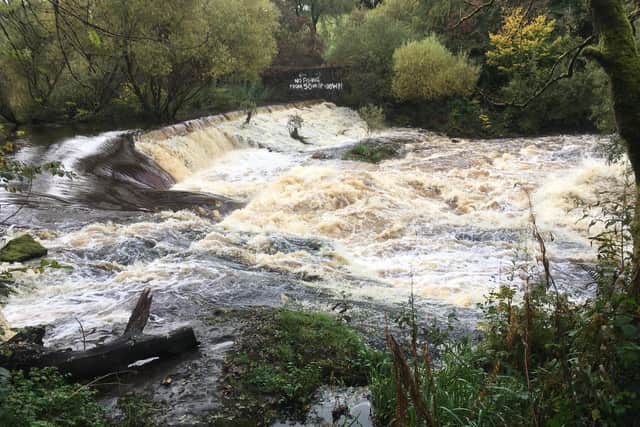 Visitors come to Larbert weir to see the salmon leaping said the river's bailiff. Pic: Contributed