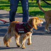 The Great British Dog Walk in aid of Hearing Dogs took place at the weekend in Falkirk.