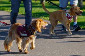 The Great British Dog Walk in aid of Hearing Dogs took place at the weekend in Falkirk.