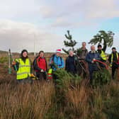 The team of volunteers helping to remove Lodgepole pine scrub from the bog on the first day.  Pictures: Scott Louden.