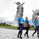 Previously, Walk for Parkinson's has taken place at The Helix Park. Pic: Michael Gillen